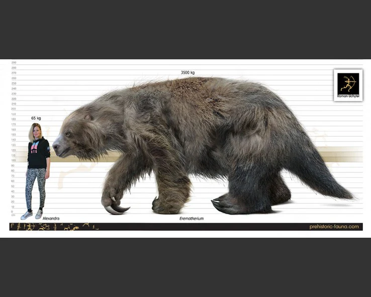 Eremotherium Ground Sloth skull cast replica #2 - Image 7