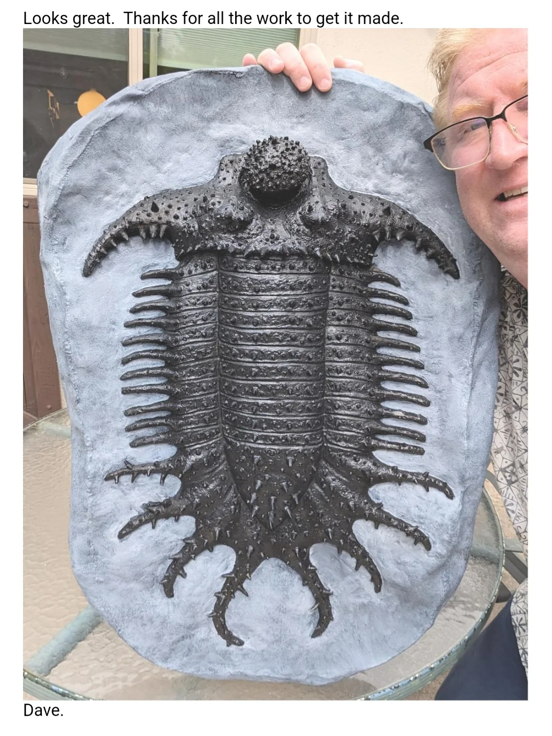 Terataspis grandis (Giant Trilobite) Cast Replica - Image 21