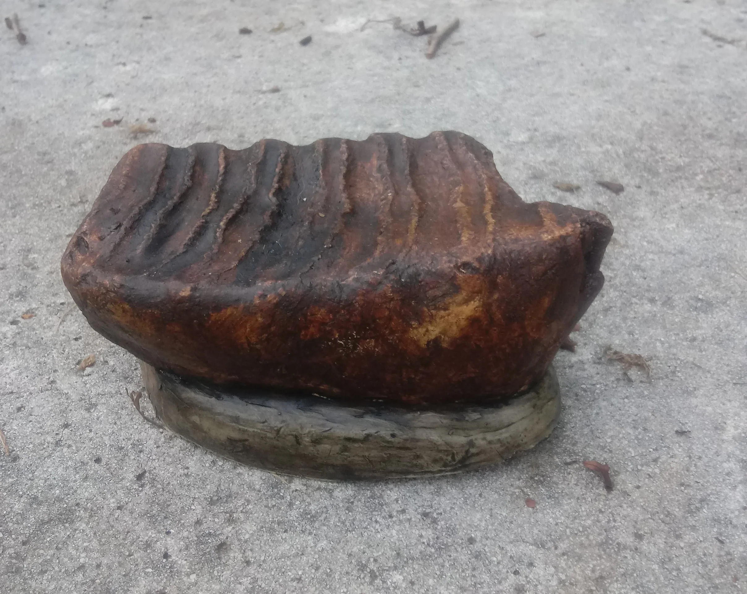 Mammoth tooth cast replica #5 (painted) - Image 3