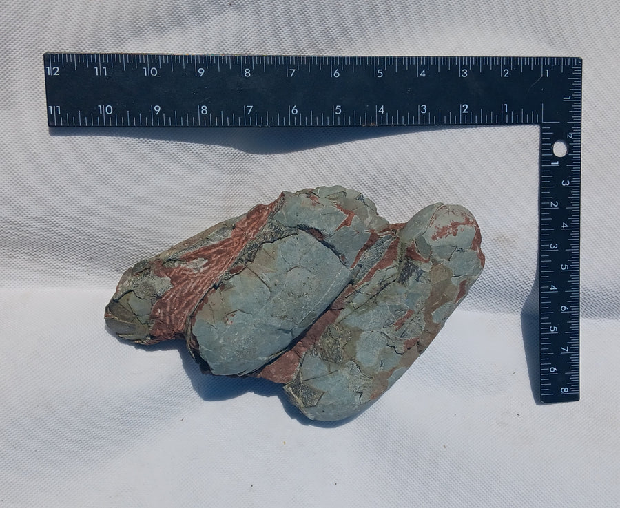 Cast Oviraptor Egg nest with Eggs Dinosaur - Image 4