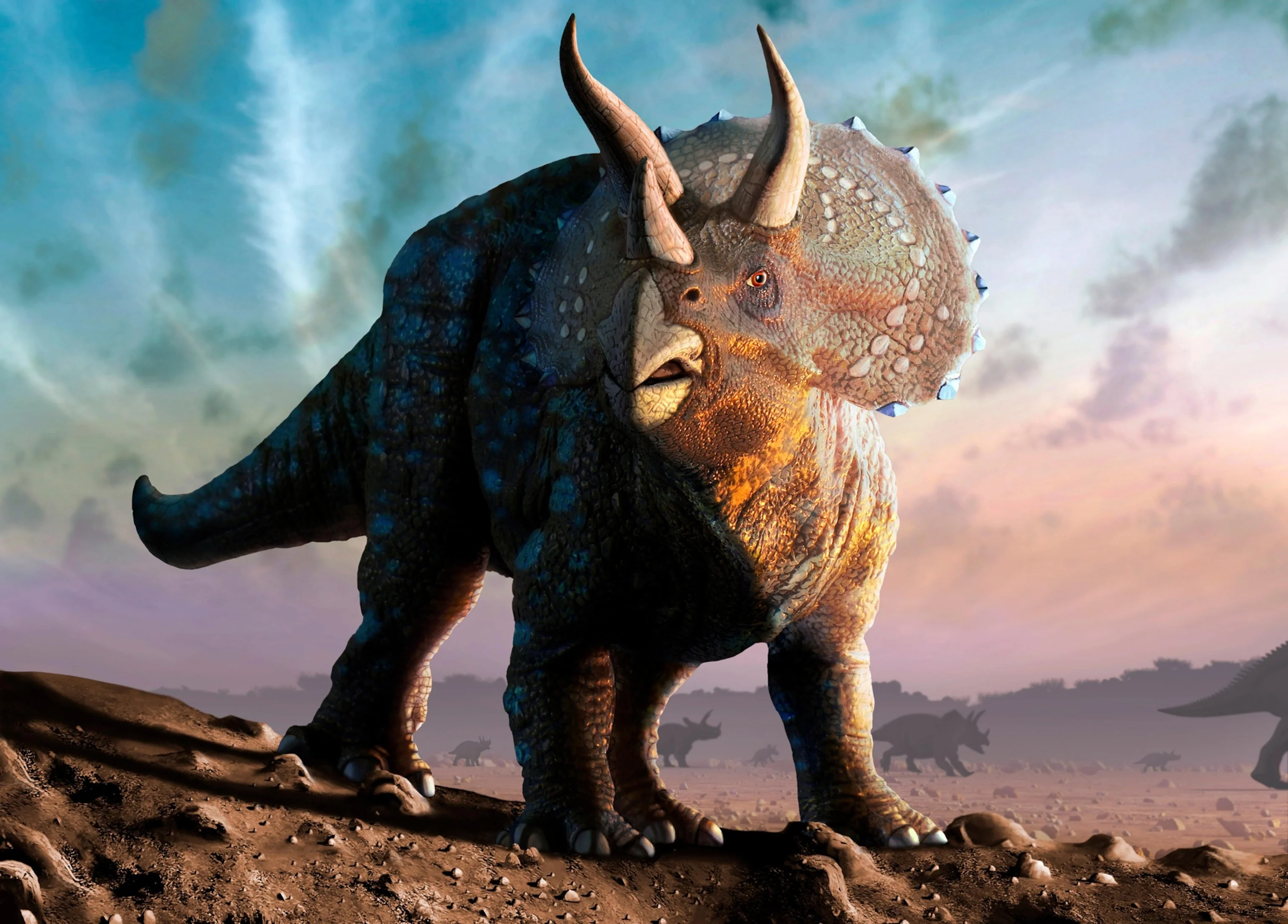 Triceratops Brow Horn 32 Inches Long #2416 - Image 6