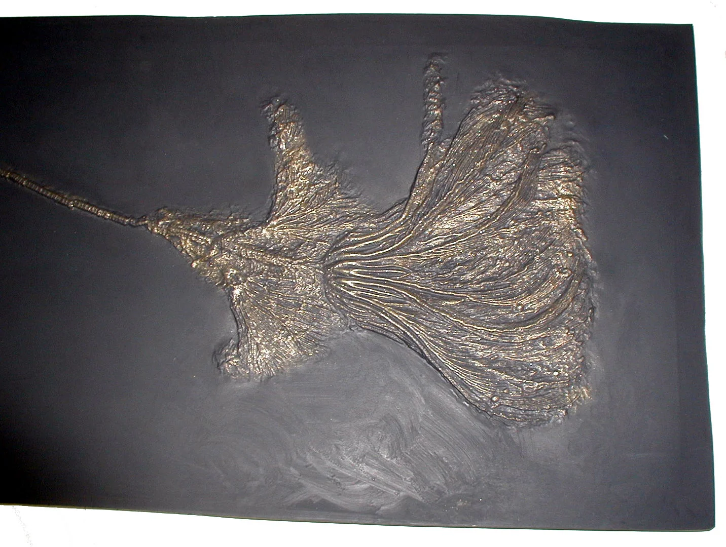 Crinoids: Pentacrinus subangularis, crinoid, #581 cast replica - Image 2