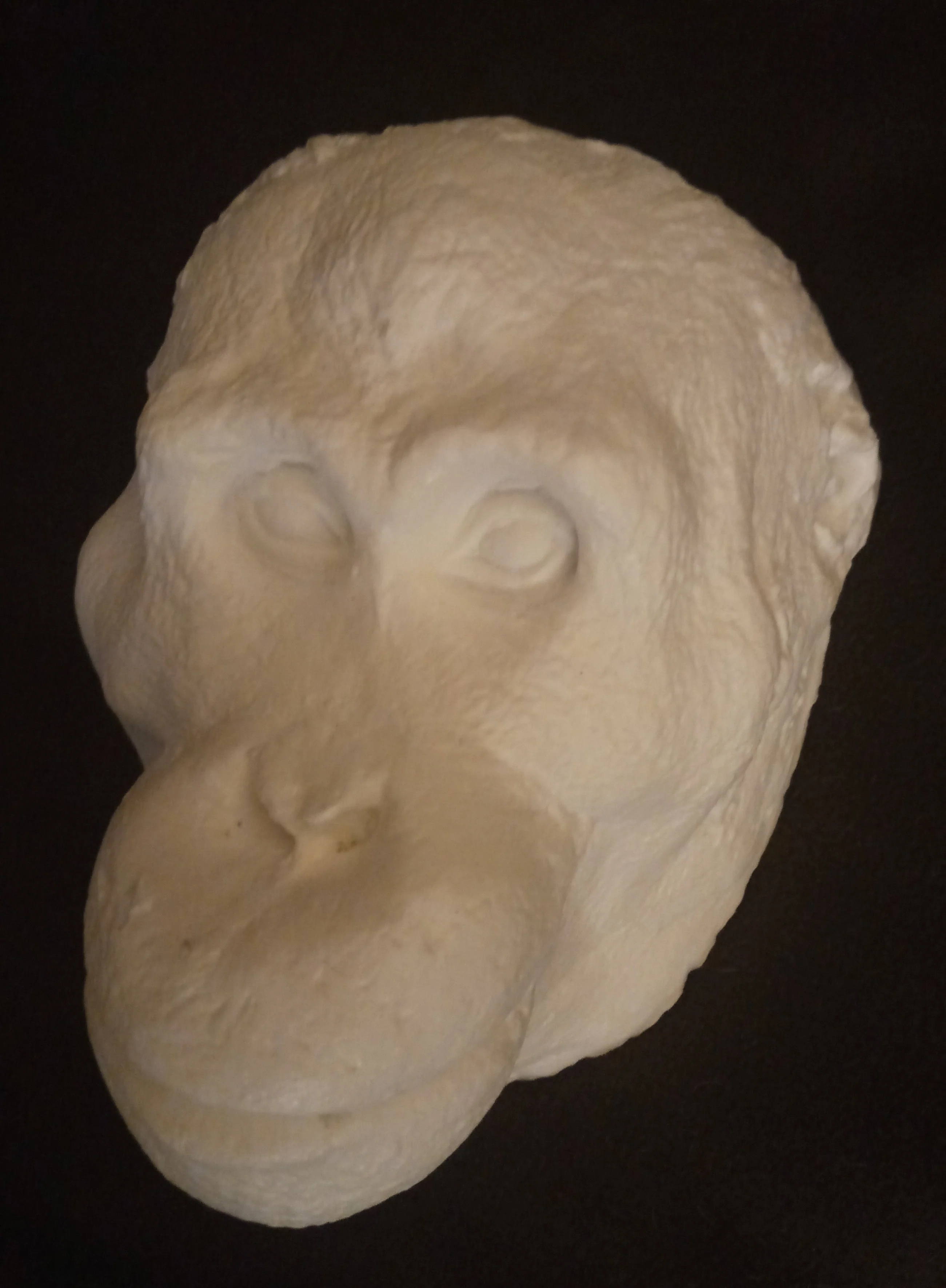 Orangutan Death Mask #1 Orangutan (female) death cast replica Life cast - Image 6