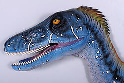 Deinonychus dinosaur wall decor - Image 3
