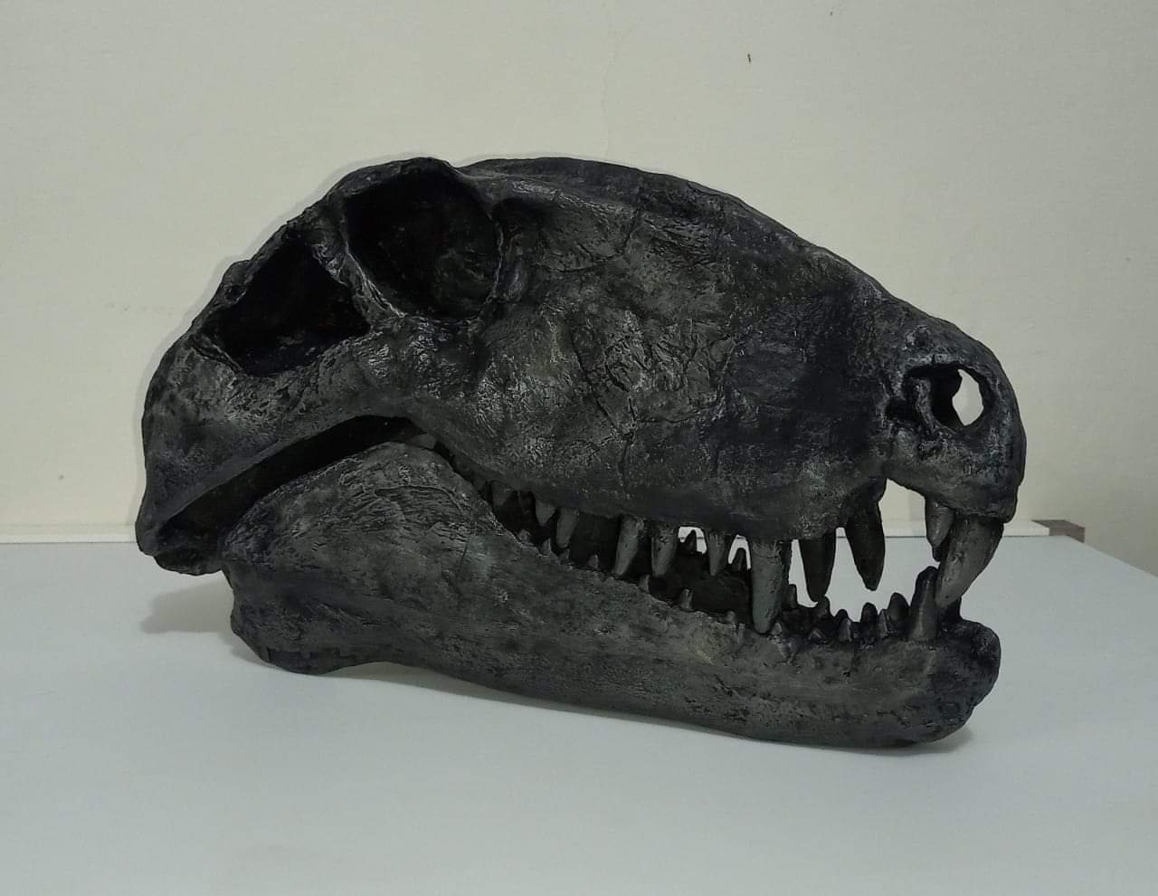 Dimetrodon skull cast replica #1 - Image 18