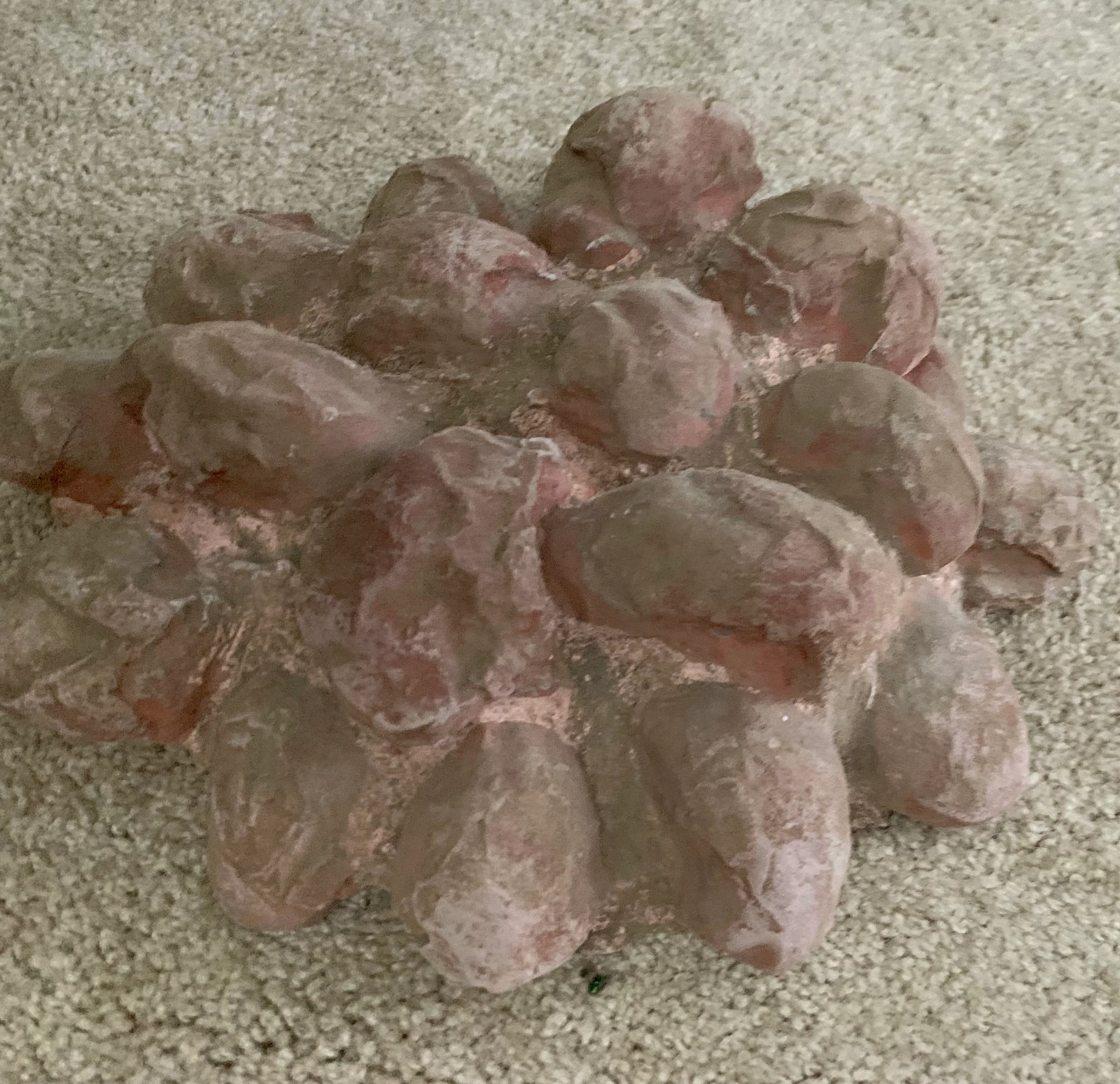 Dinosaur Segnosaur 20 Egg Nest #2 Cast Replica Dinosaur Reproductions - Image 5