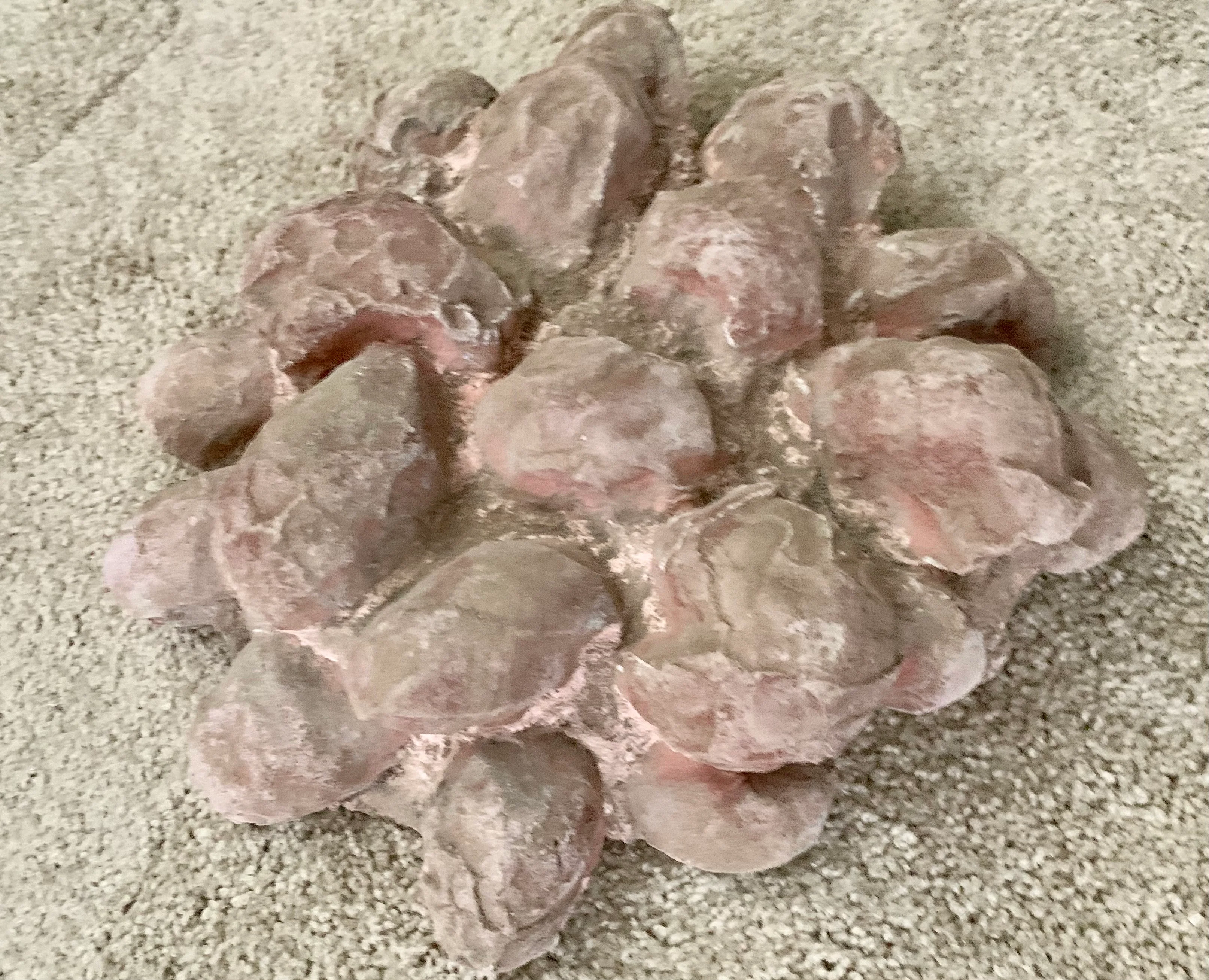 Dinosaur Segnosaur 20 Egg Nest #2 Cast Replica Dinosaur Reproductions - Image 6