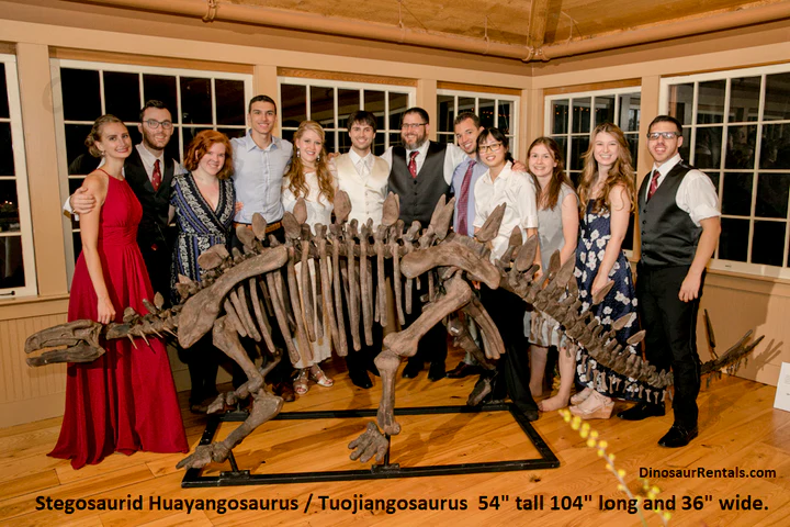 Dinosaur rental package #1 - Image 23