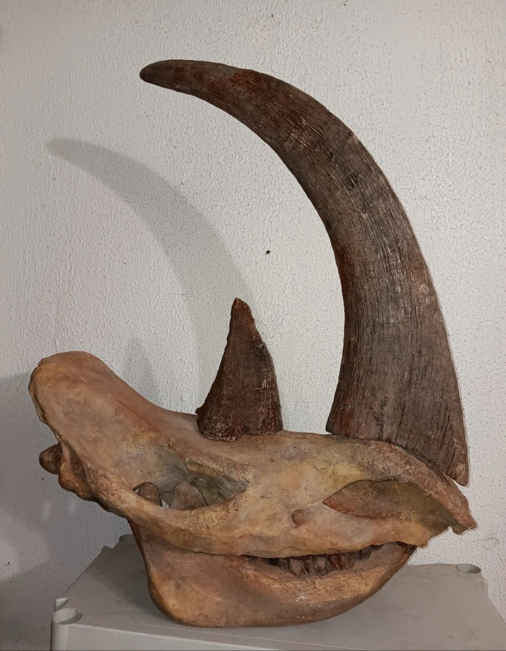 Dinosaur rental package #2026 - Image 29