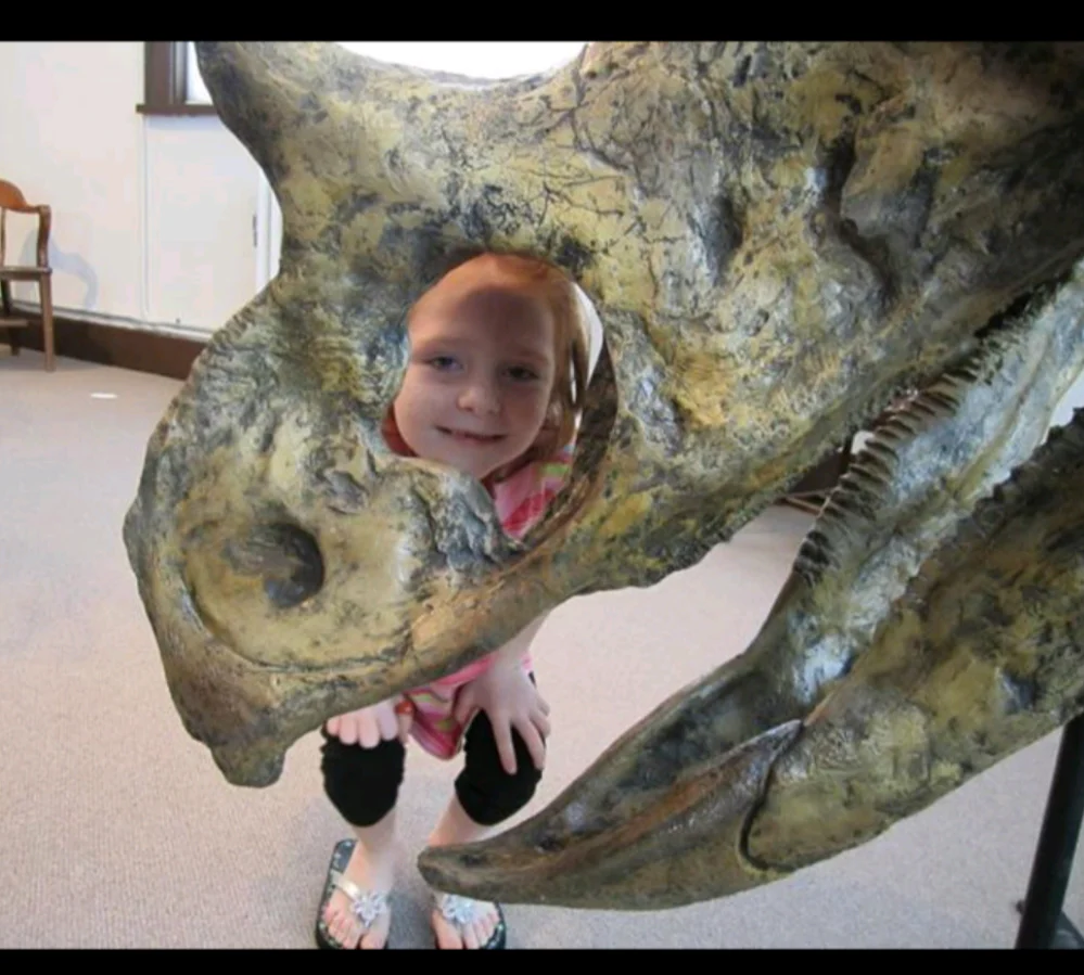 Dinosaur rental package #2026 - Image 6