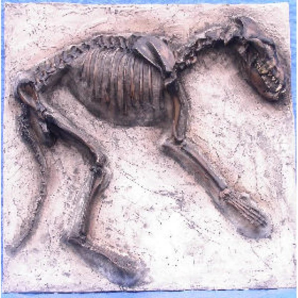 Dire Wolf Dig Panel Canis Dirus Cast Replica Reproduction - Image 2