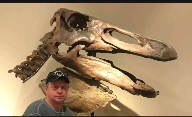 Edmontosaurus XL Skin impression cast replica Dinosaur - Image 4