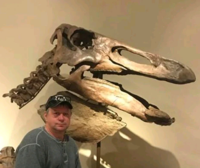 Edmontosaurus XL Skin impression cast replica Dinosaur - Image 5