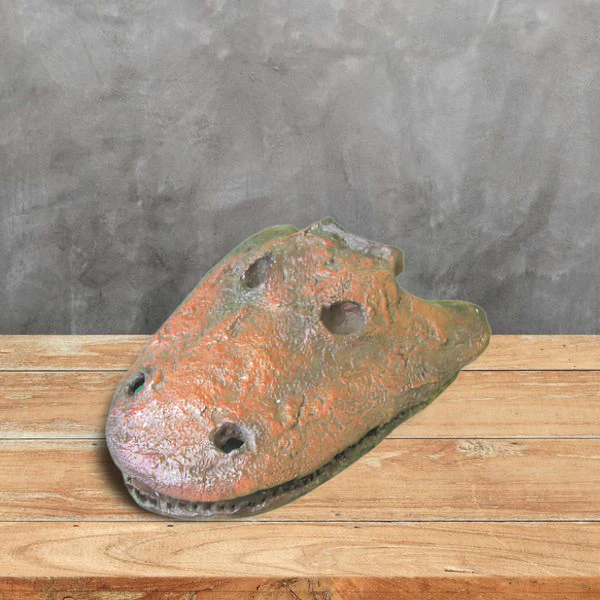 Eryops skull fossil cast replica reproduction - Image 3
