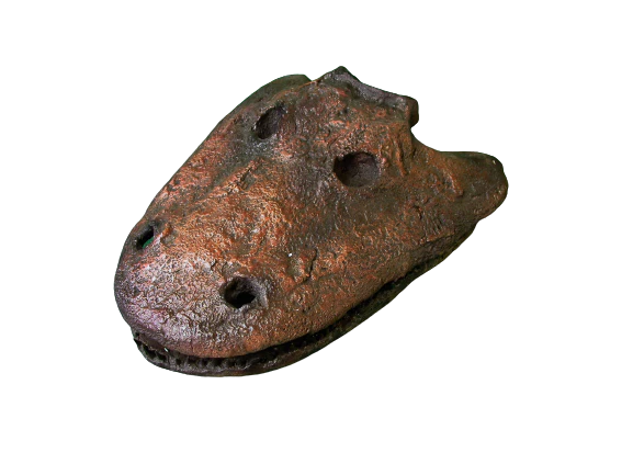 Eryops skull fossil cast replica reproduction - Image 5