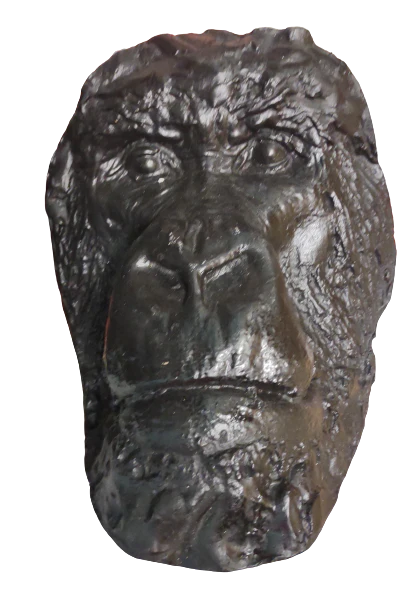 Gorilla Bust Death Cast Life cast #3 Carl Akeley Gorilla Death Mask - Image 4