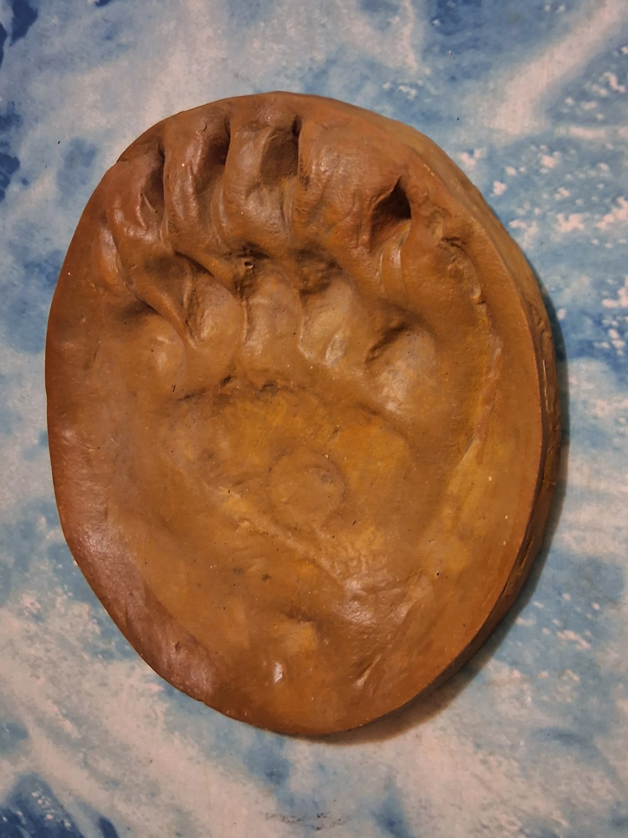Grizzly Track #3B (Light Brown) MC Paw Print Grizzly Track B W Shull 10.75" Diam Rare Plaster Bear footprint track cast replica - Image 3