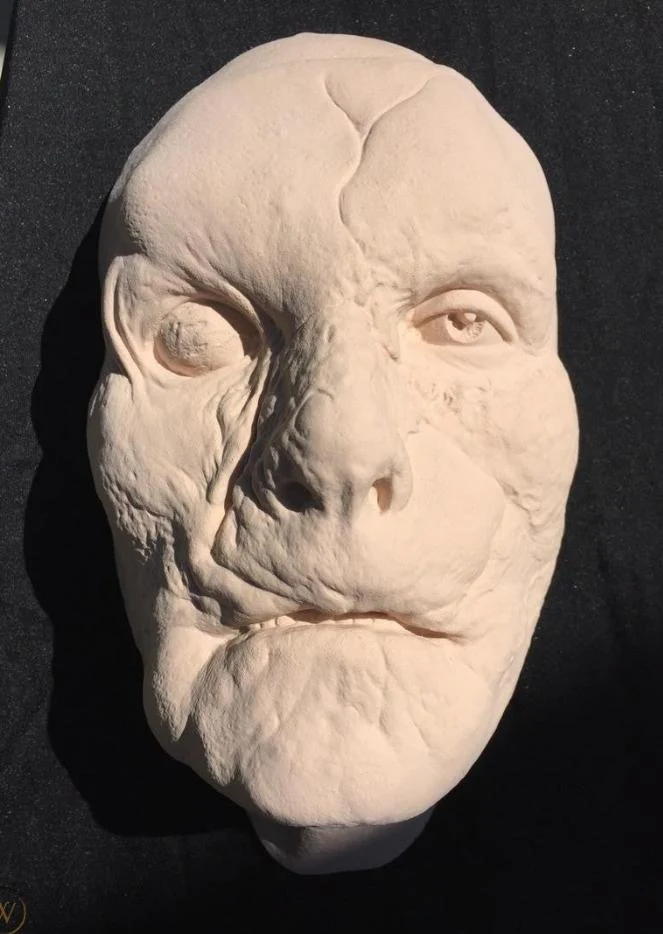 Hannibal: "Mason Verger" from the movie Hannibal