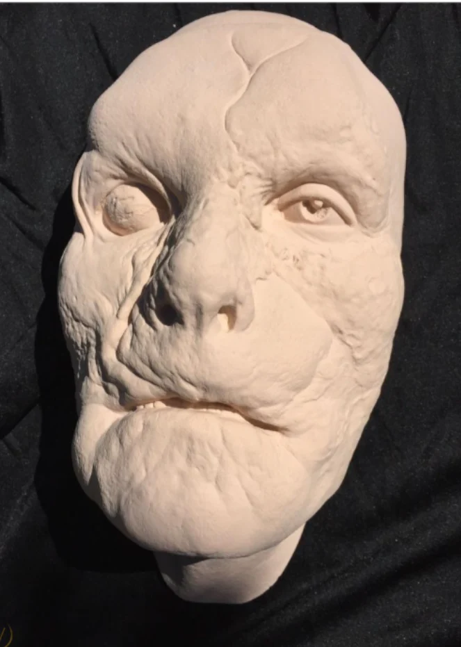Hannibal: "Mason Verger" from the movie Hannibal - Image 14
