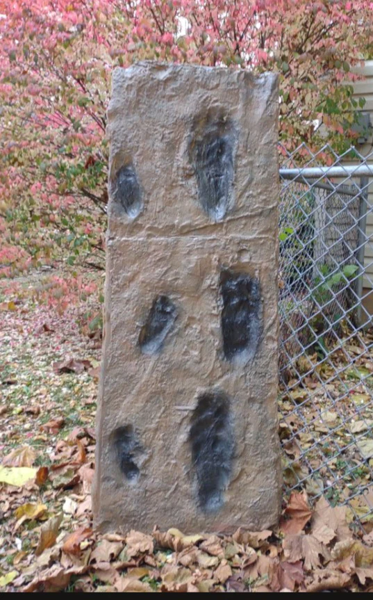 Laetoli Hominid Footprint tracks (4 tracks) impression casts - Image 6