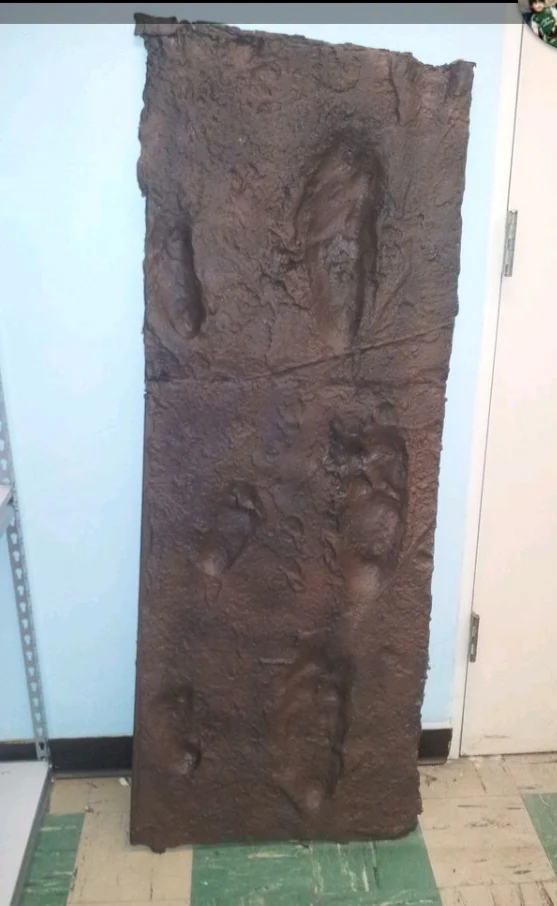 Laetoli Hominid Footprint tracks (6 tracks) impression casts - Image 3