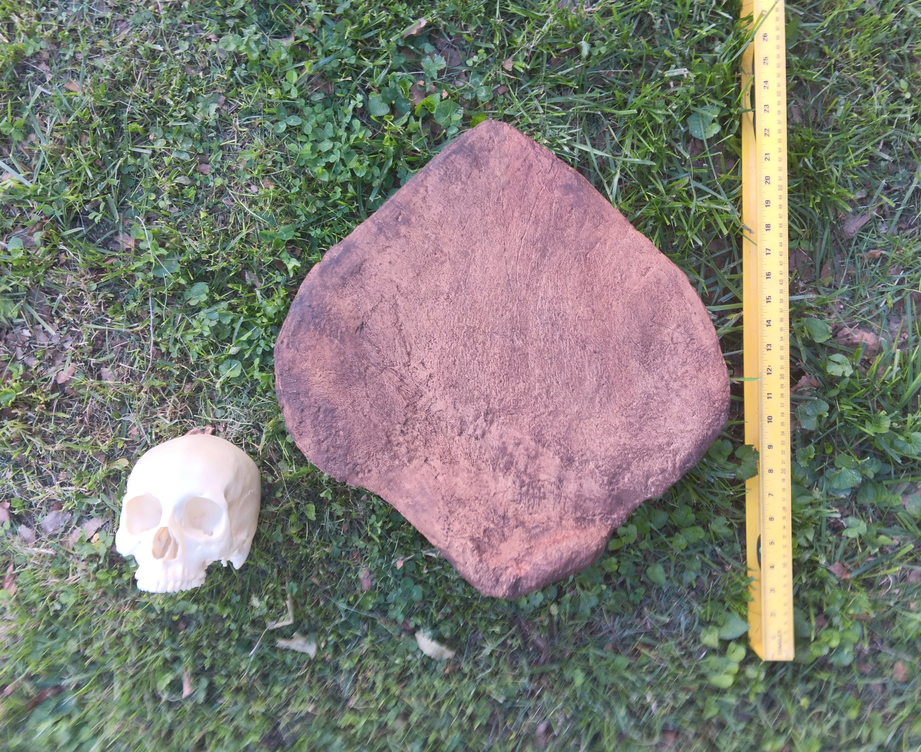 Large Stegosaurus armor plate cast replica - Image 2