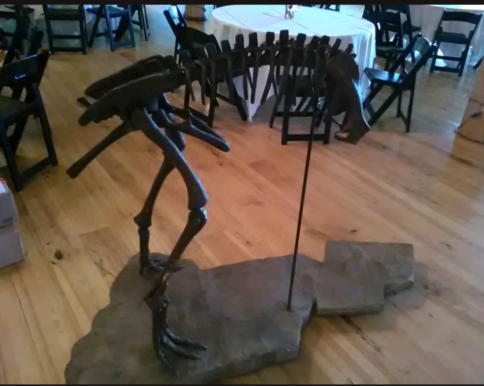 Lufengosaurus skeleton cast replica dinosaur for sale or rent - Image 5