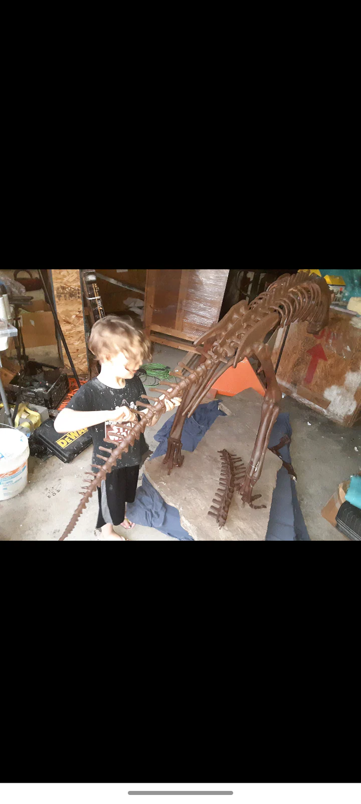 Lufengosaurus skeleton cast replica dinosaur for sale or rent - Image 59