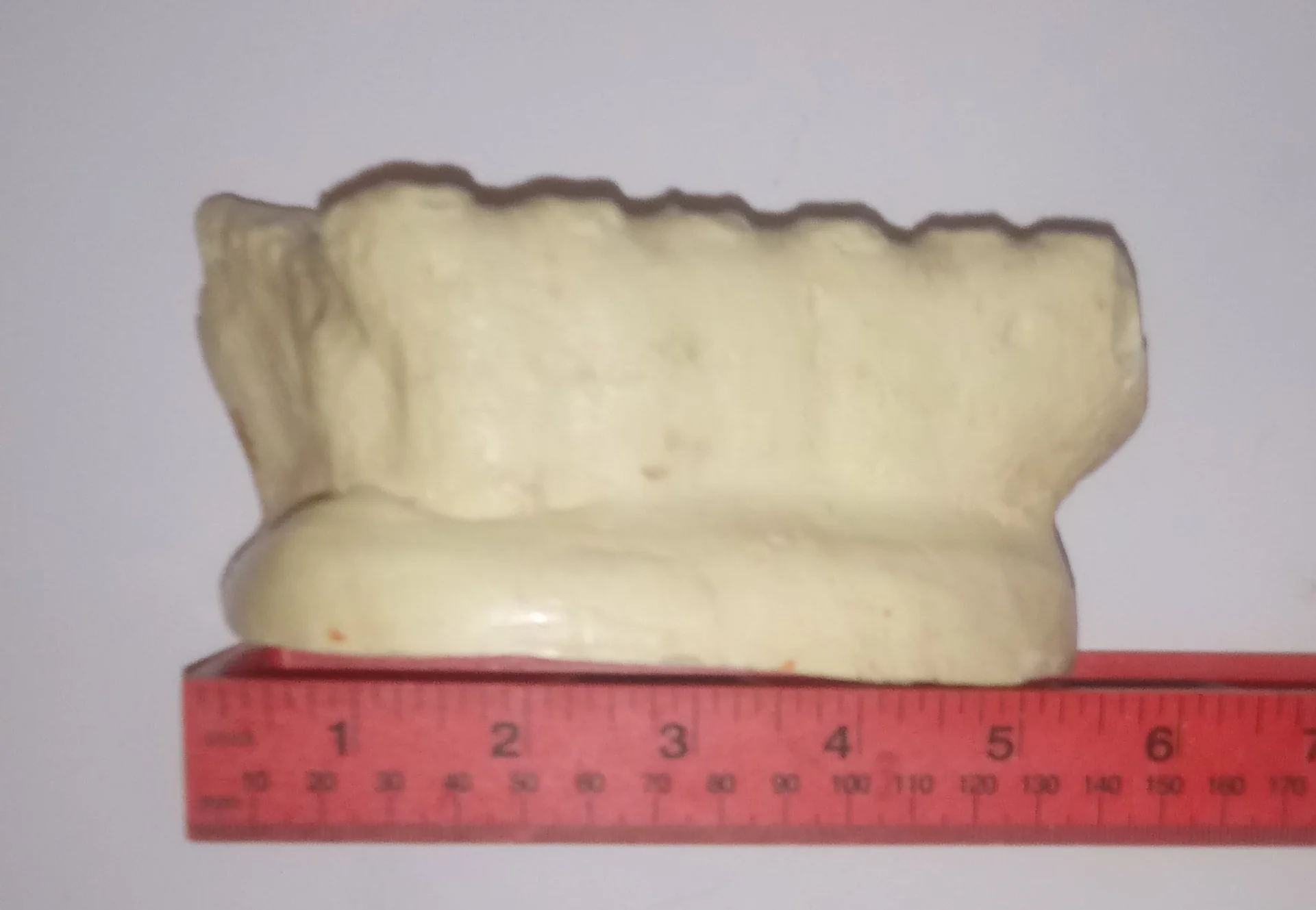 Mammoth tooth cast replica #5 (unpainted) - Image 2