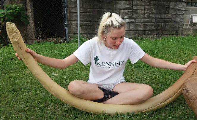 Mammoth Tusk cast replica. Ice Age (*Updated 2024)
