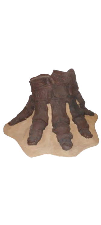 Mastodon foot cast replica Pleistocene. Ice Age - Image 13