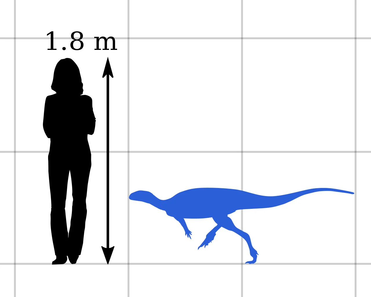 Nanosaurus / Hypsolophodon skeleton cast replica - Image 3