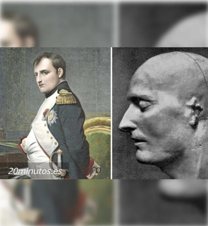 Napoleon: Life Cast Life Mask Death Cast of Napoleon Bonaparte (Plaster)