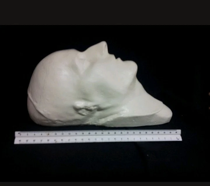 Napoleon: Life Cast Life Mask Death Cast of Napoleon Bonaparte (Plaster) - Image 6