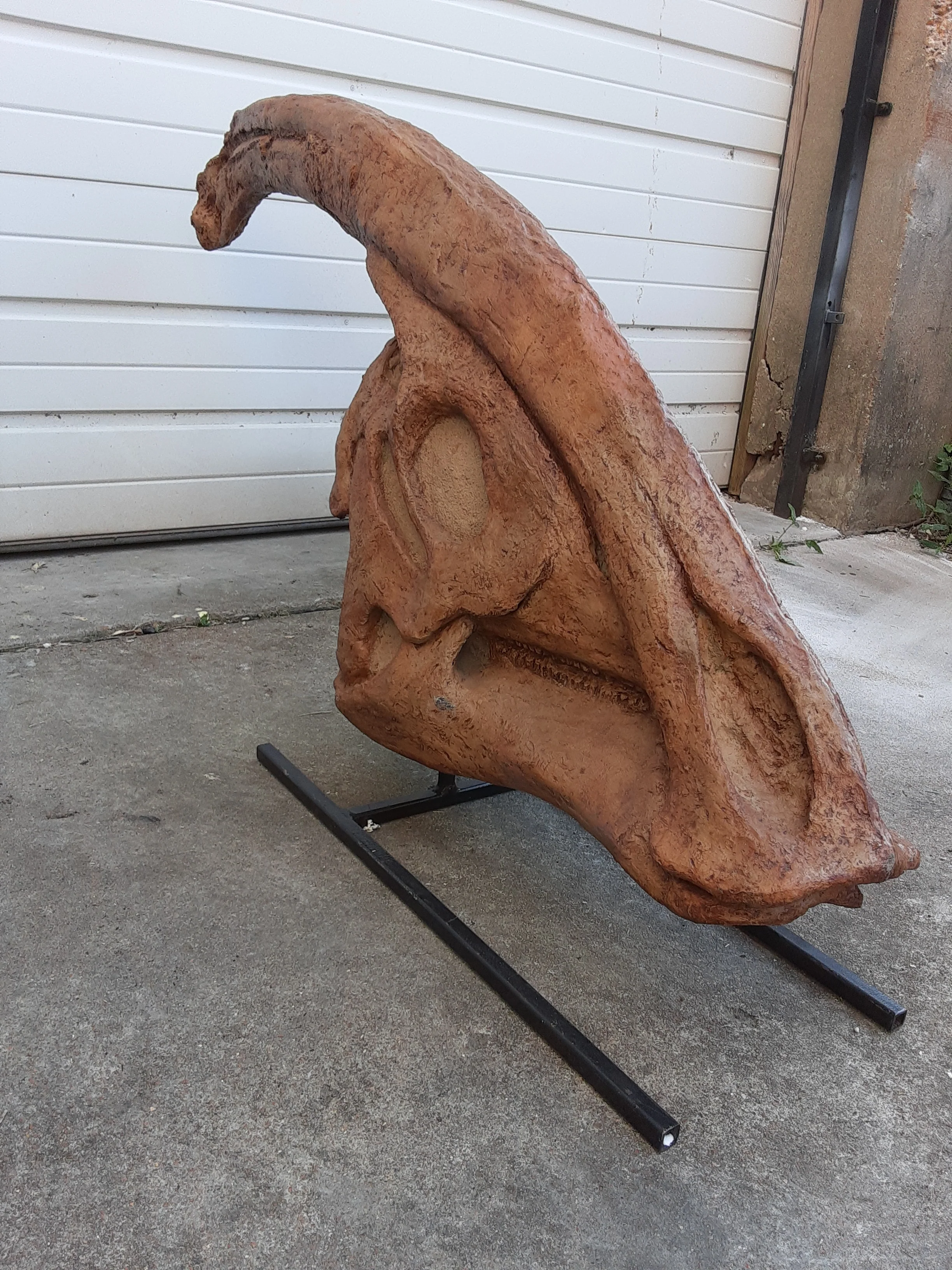 Parasaurolophus skull cast replica - Image 3