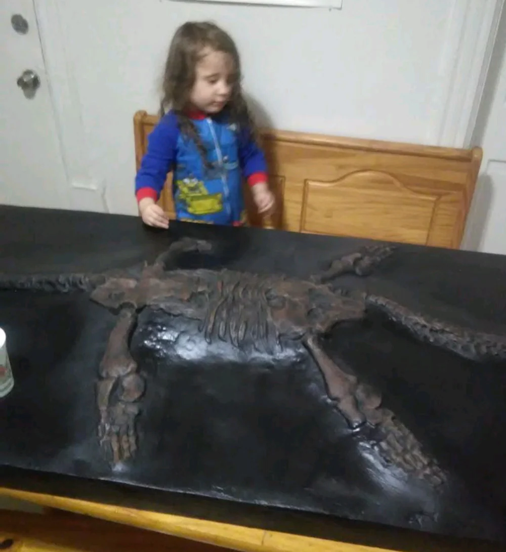 Plesiosaurus Skeleton cast replica marine reptile - Image 13