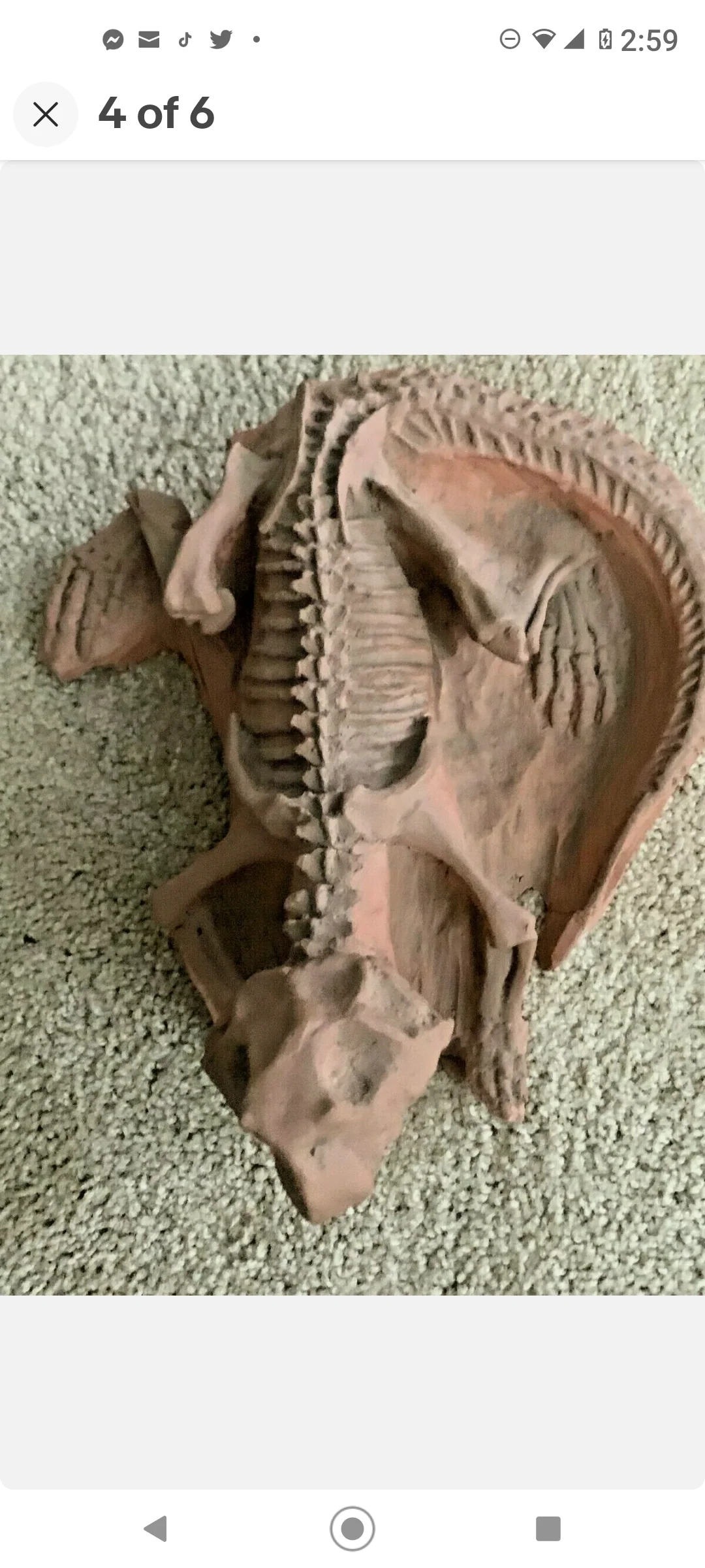Psittacosaur Dinosaur Replica 14" Dinosaur skeleton cast in matrix - Image 6