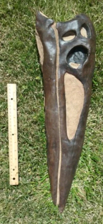 Quetzalcoatlus
Pterodactyloid Pterosaur - Image 2