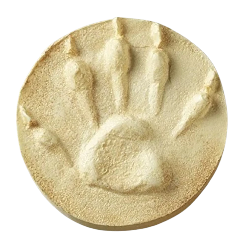 Raccoon Track Replica Cast Impression Footprint - Image 2