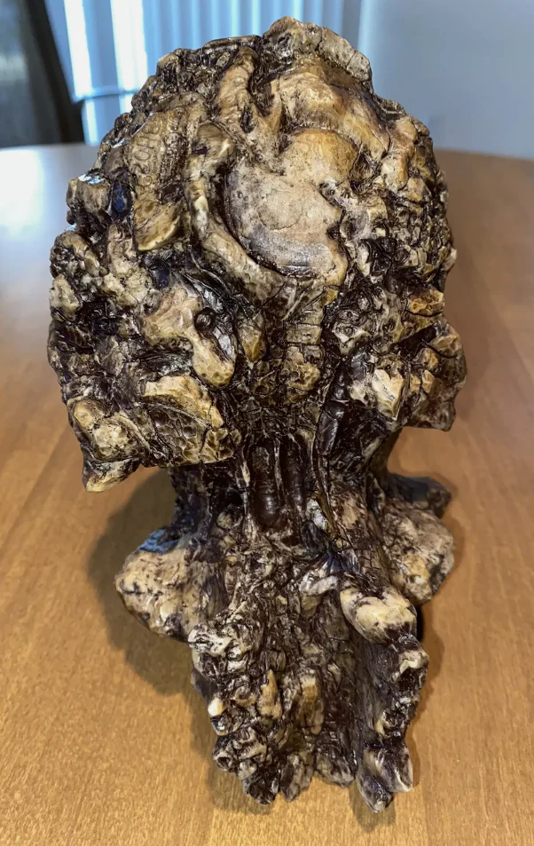Sahelanthropus Tchadensis Toumai Cranium Skull - Image 8