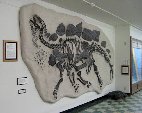 Stegosaurus skeleton dig panel