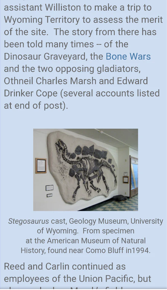 Stegosaurus skeleton dig panel - Image 5