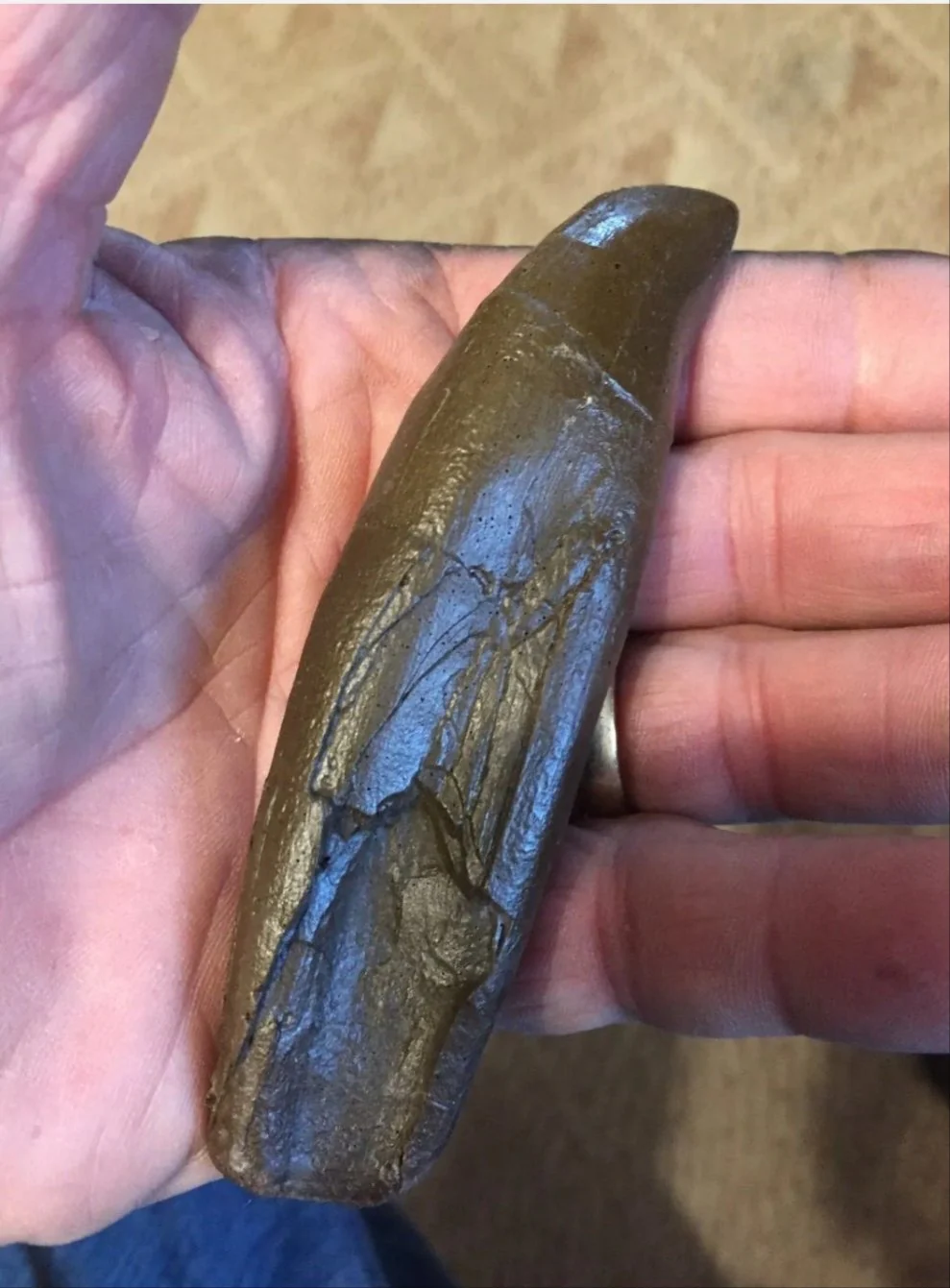 T.rex tooth #5 T-rex 4 3/4" Tyrannosaurus Rex T.rex Fossil Tooth for sale Cast Replica T-rex - Image 3