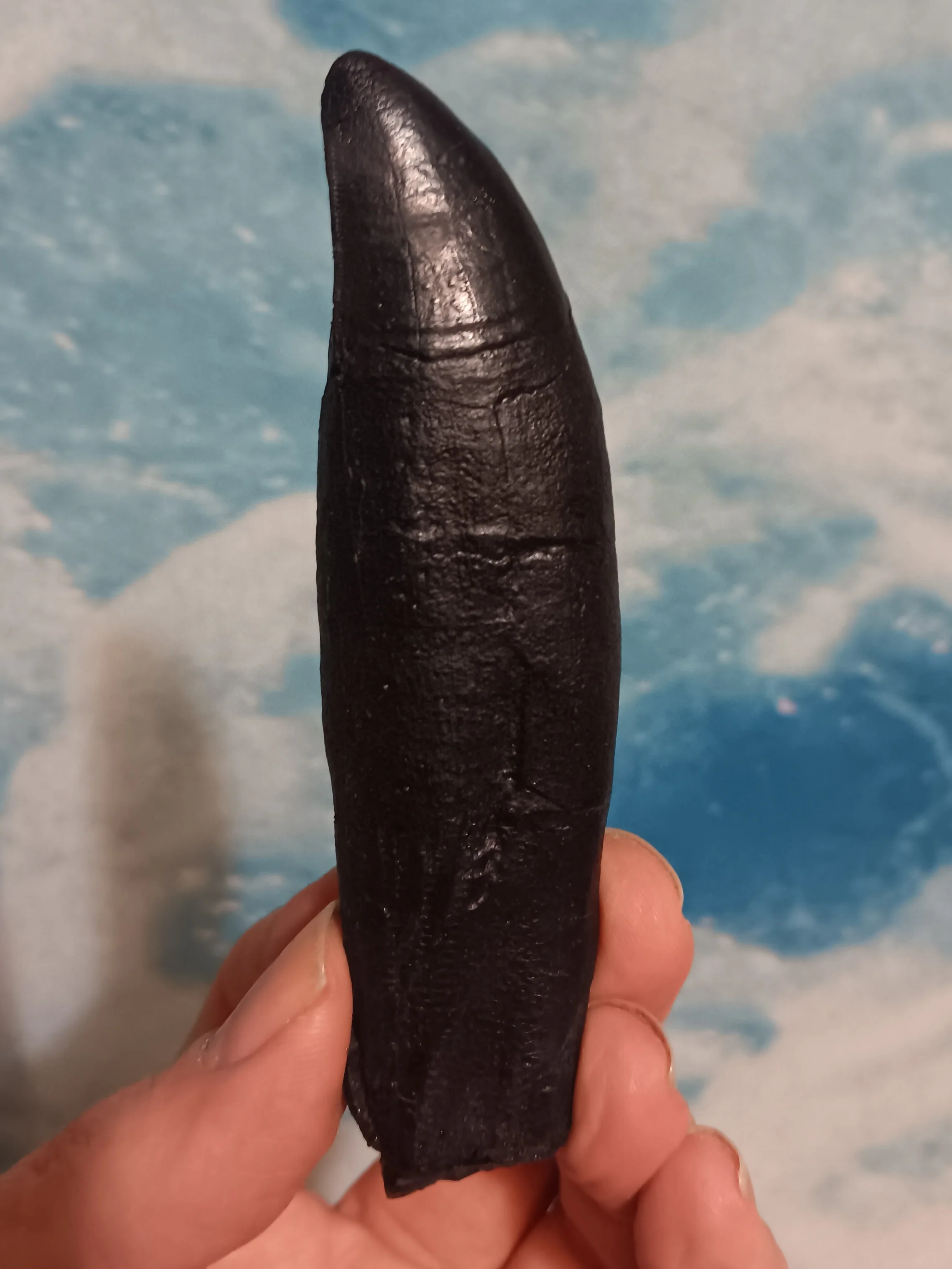 T.rex tooth #5 T-rex 4 3/4" Tyrannosaurus Rex T.rex Fossil Tooth for sale Cast Replica T-rex - Image 6