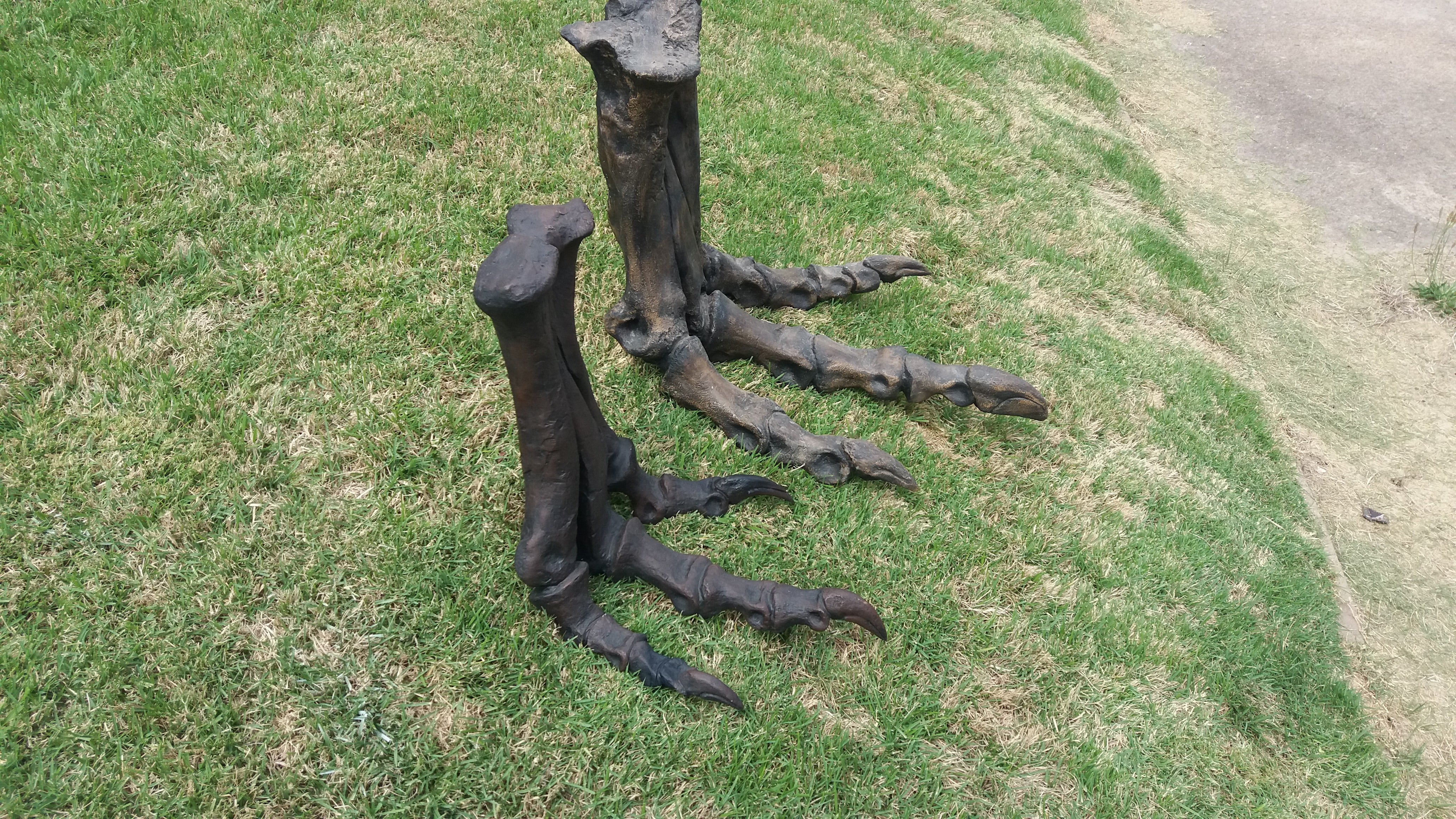 Tinker Juvenile Tyrannosaurus Rex T.rex foot cast replica T-rex - Image 7