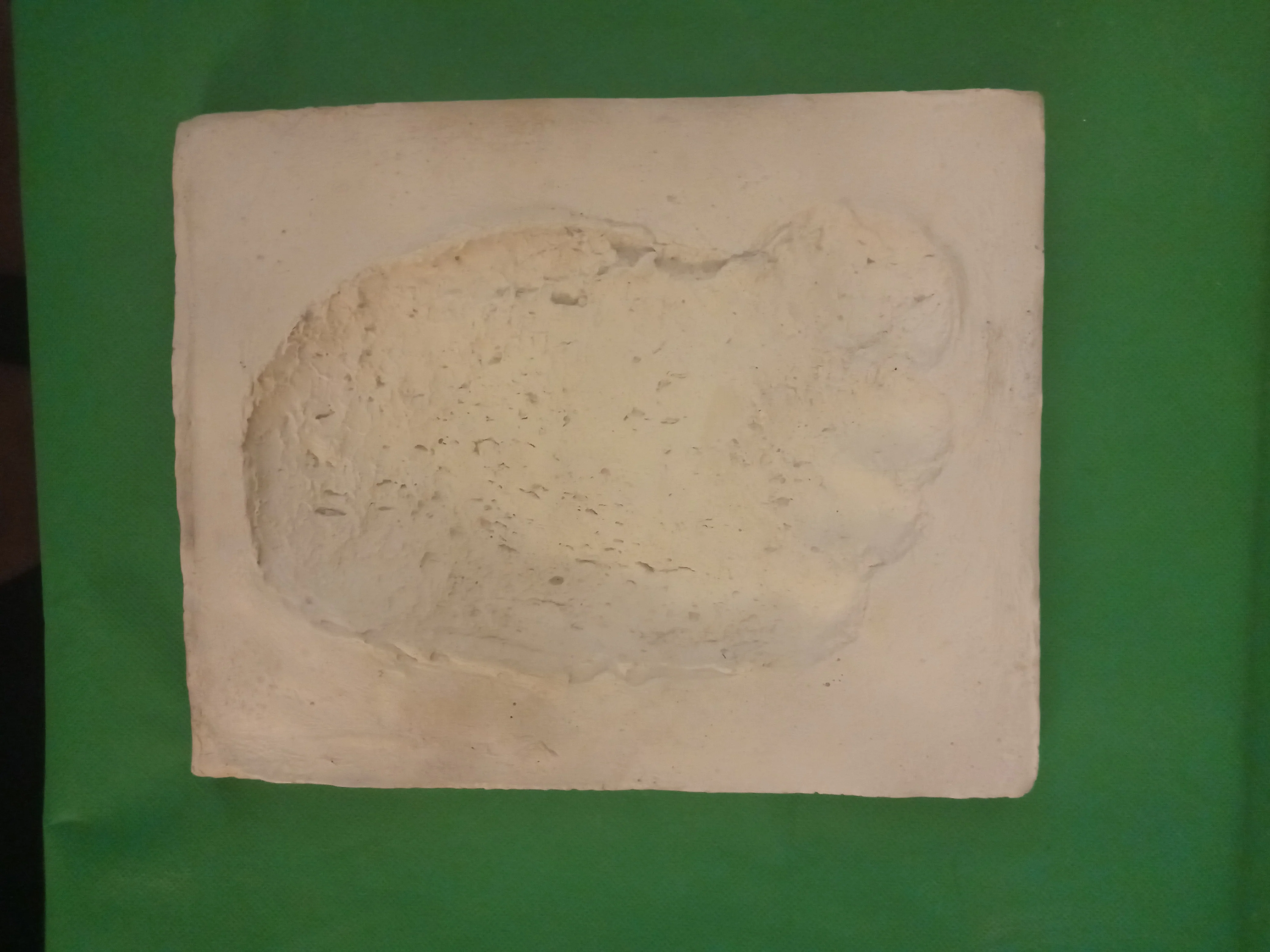 1957 Tom Slick Bigfoot Cast track replica - Image 21