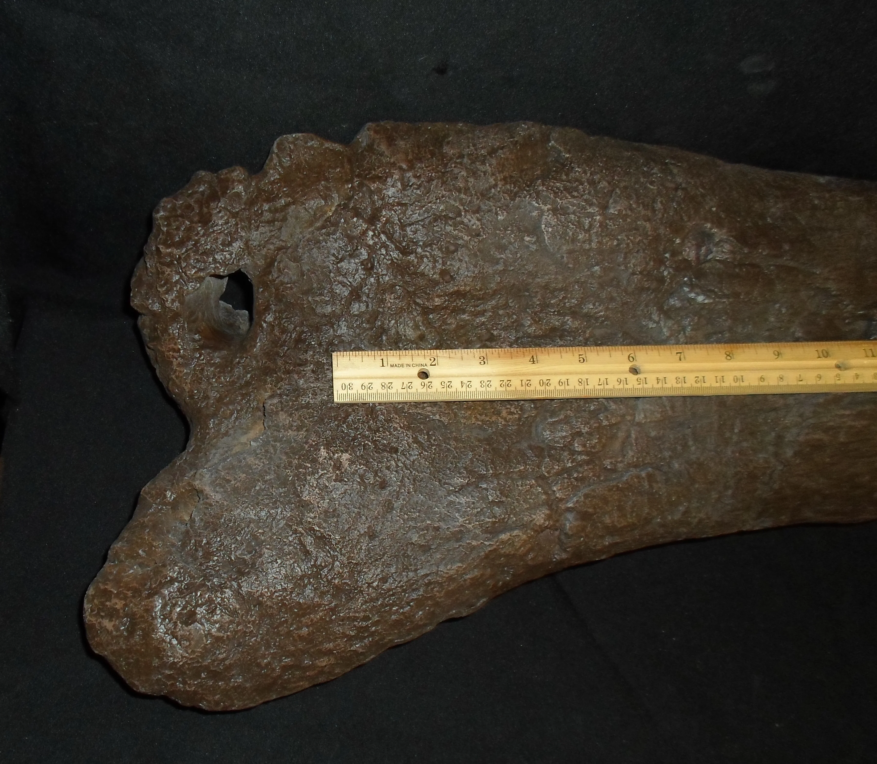 Triceratops Femur Leg Bone Cast replica #1 - Image 9