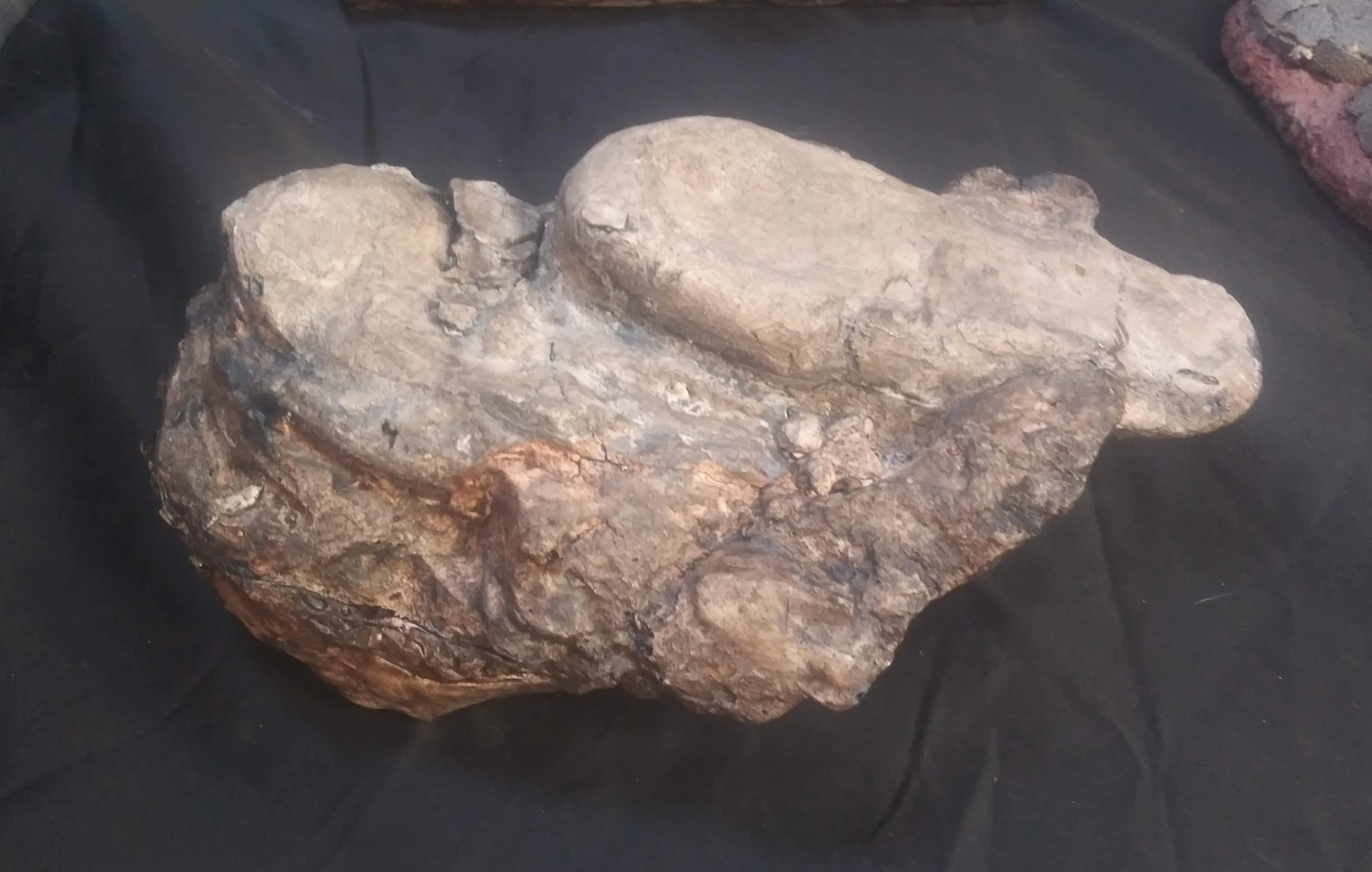Velociraptor egg nest Dinosaur fossil egg cast for sale Replica Dinosaur Reproductions - Image 5