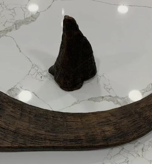 Woolly Rhino horns cast replicas - Image 11