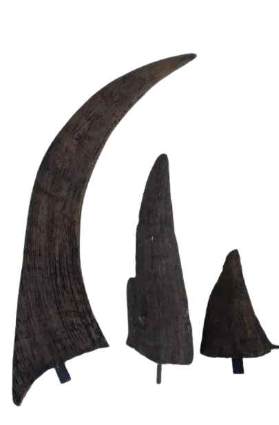 Woolly Rhino horns cast replicas - Image 13